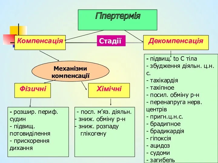 Гіпертермія Компенсація Механізми компенсації Декомпенсація Стадії Фізичні Хімічні - розшир.