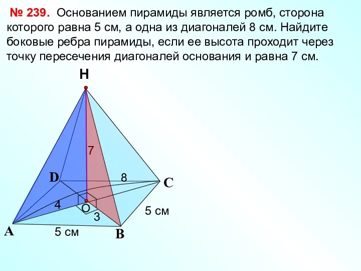 С А В Н № 239. Основанием пирамиды является ромб,