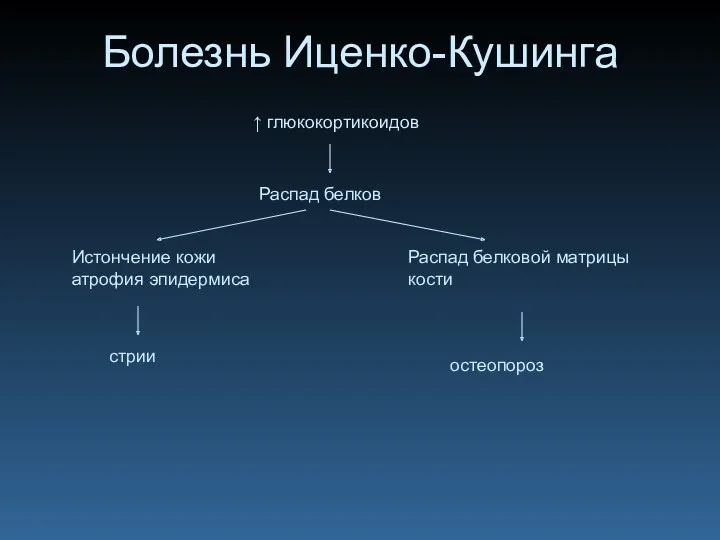 Болезнь Иценко-Кушинга ↑ глюкокортикоидов Распад белков Истончение кожи атрофия эпидермиса стрии Распад белковой матрицы кости остеопороз