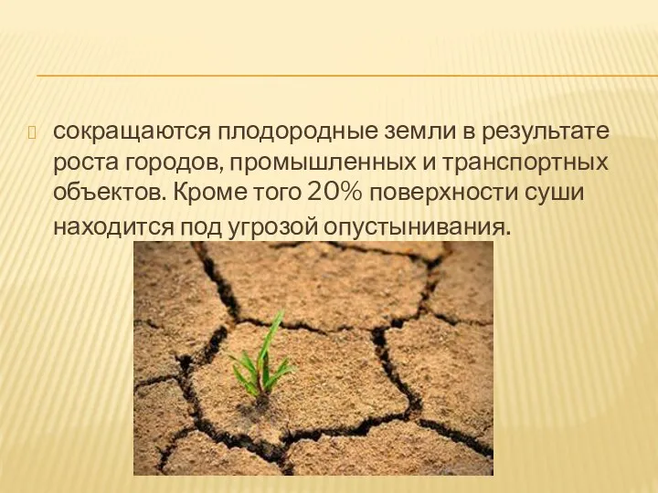 сокращаются плодородные земли в результате роста городов, промышленных и транспортных