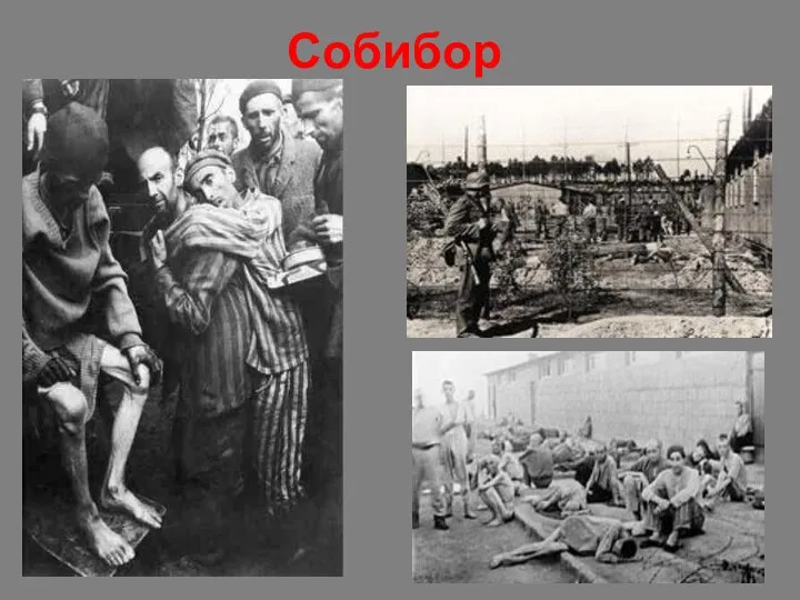 Собибор