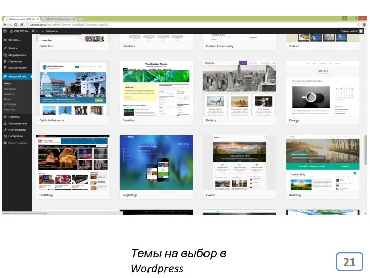 Темы на выбор в Wordpress