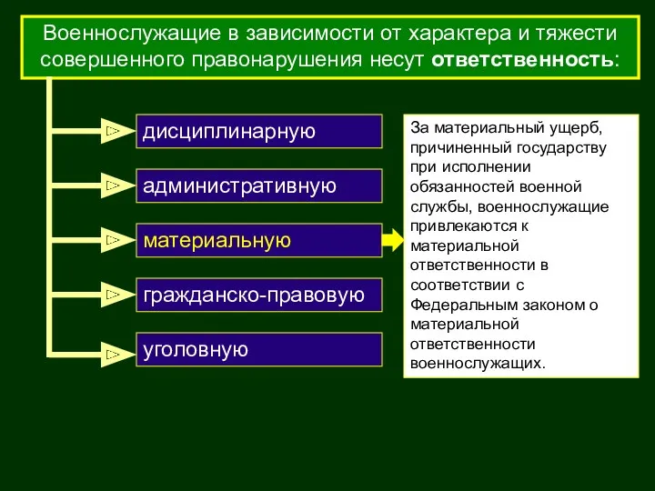 Военнослужащие в зависимости от характера и тяжести совершенного правонарушения несут