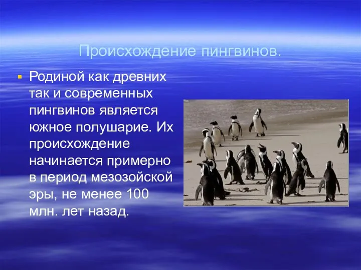 Происхождение пингвинов. Родиной как древних так и современных пингвинов является