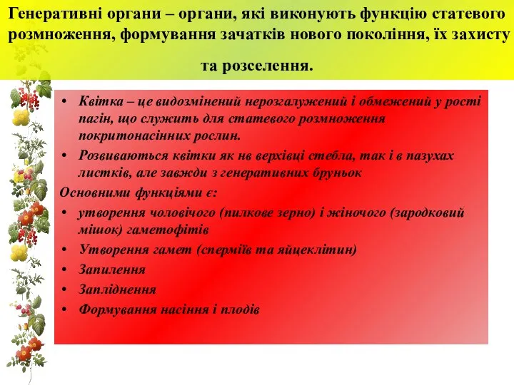 Генеративні органи – органи, які виконують функцію статевого розмноження, формування