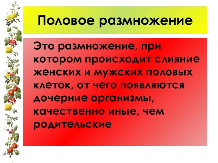 Половое размножение Это размножение, при котором происходит слияние женских и