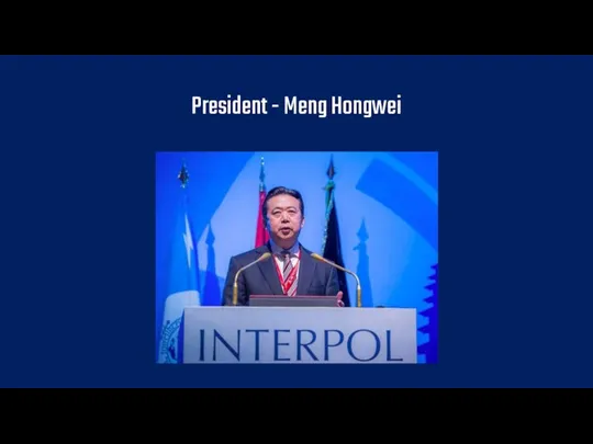 President - Meng Hongwei