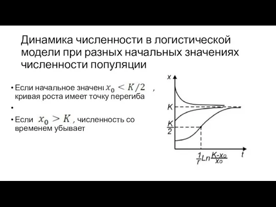 Динамика численности в логистической модели при разных начальных значениях численности