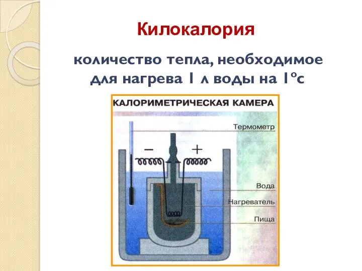 Килокалория количество тепла, необходимое для нагрева 1 л воды на 1ос