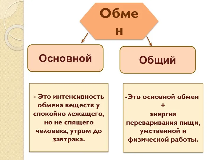 Обмен - Это интенсивность обмена веществ у спокойно лежащего, но