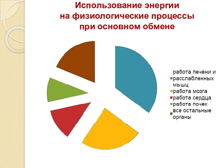 Использование энергии на физиологические процессы при основном обмене