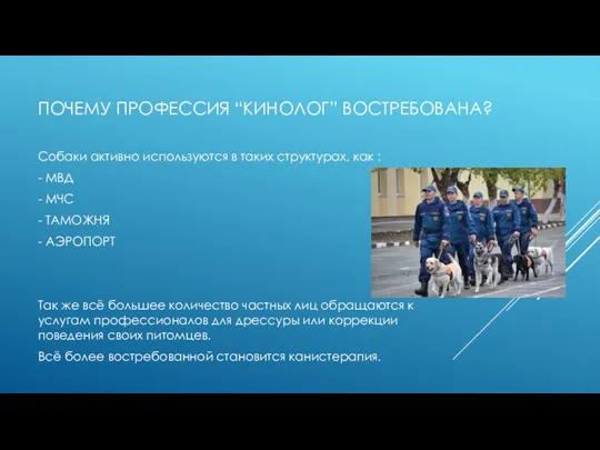 ПОЧЕМУ ПРОФЕССИЯ “КИНОЛОГ” ВОСТРЕБОВАНА? Собаки активно используются в таких структурах,