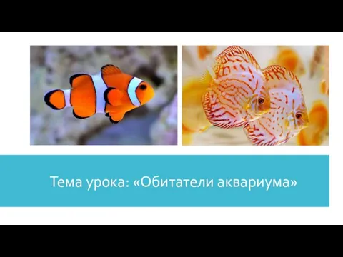 Тема урока: «Обитатели аквариума»