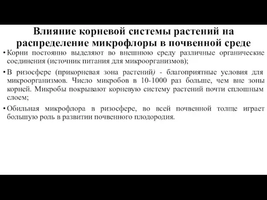 Влияние корневой системы растений на распределение микрофлоры в почвенной среде