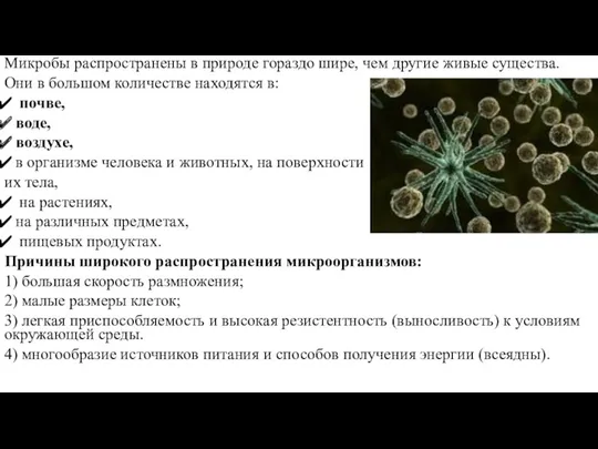 Микробы распространены в природе гораздо шире, чем другие живые существа.