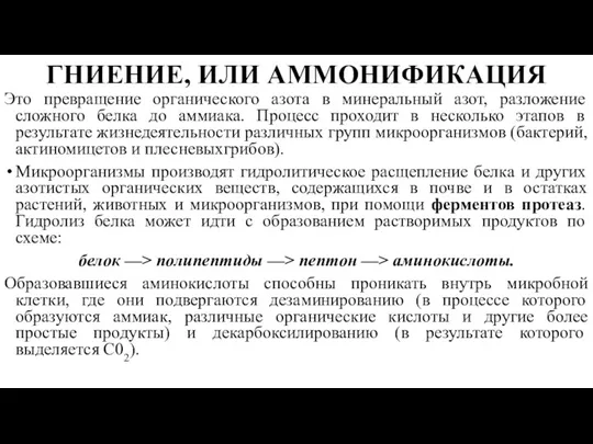 ГНИЕНИЕ, ИЛИ АММОНИФИКАЦИЯ Это превращение органического азота в минеральный азот,