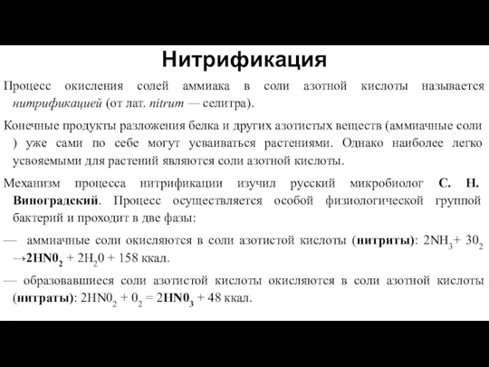 Нитрификация Процесс окисления солей аммиака в соли азотной кислоты называется