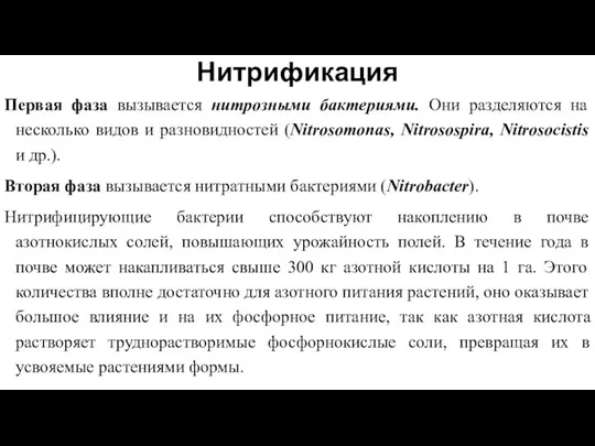 Нитрификация Первая фаза вызывается нитрозными бактериями. Они разделяются на несколько