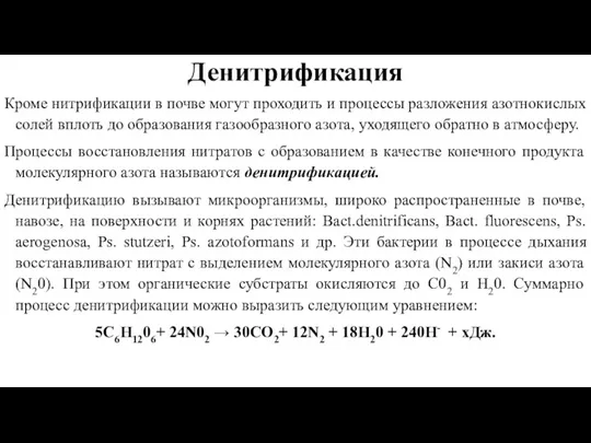 Денитрификация Кроме нитрификации в почве могут проходить и процессы разложения