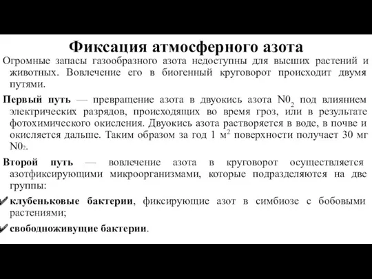 Фиксация атмосферного азота Огромные запасы газообразного азота недоступны для высших