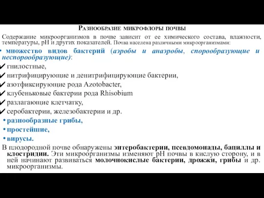 Разнообразие микрофлоры почвы Содержание микроорганизмов в почве зависит от ее