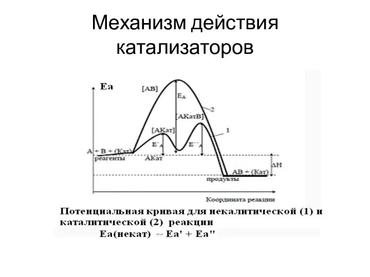 Механизм действия катализаторов