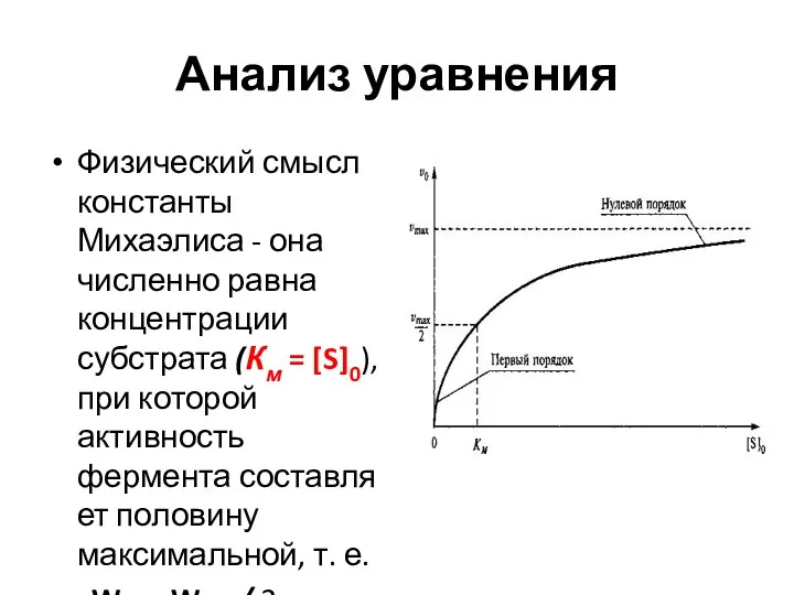 Анализ уравнения Физический смысл константы Михаэлиса - она численно равна