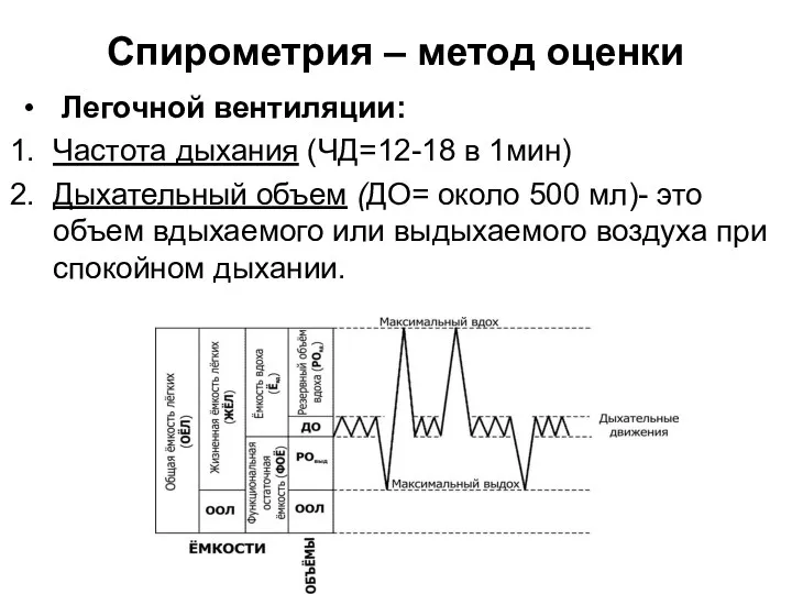 Спирометрия – метод оценки Легочной вентиляции: Частота дыхания (ЧД=12-18 в