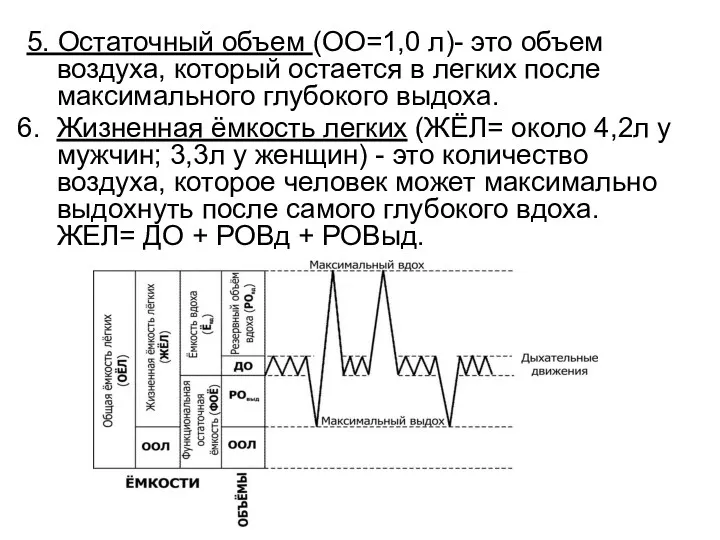 5. Остаточный объем (ОО=1,0 л)- это объем воздуха, который остается