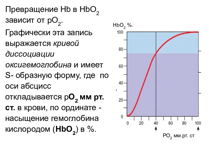 Превращение Hb в HbO2 зависит от рO2. Графически эта запись