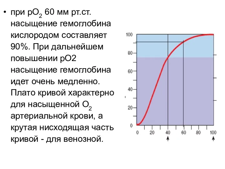 при рО2 60 мм рт.ст. насыщение гемоглобина кислородом составляет 90%.