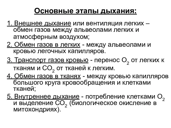 Основные этапы дыхания: 1. Внешнее дыхание или вентиляция легких –