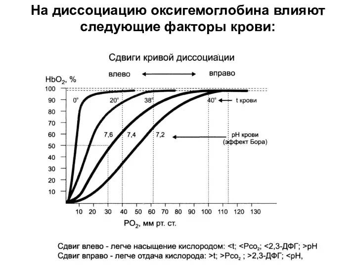 На диссоциацию оксигемоглобина влияют следующие факторы крови: