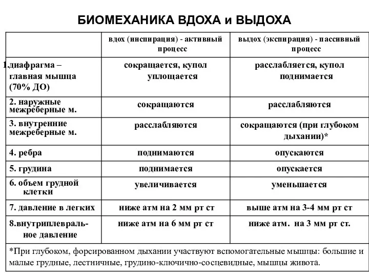 БИОМЕХАНИКА ВДОХА и ВЫДОХА