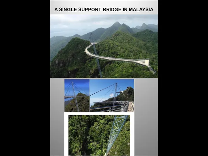 A SINGLE SUPPORT BRIDGE IN MALAYSIA