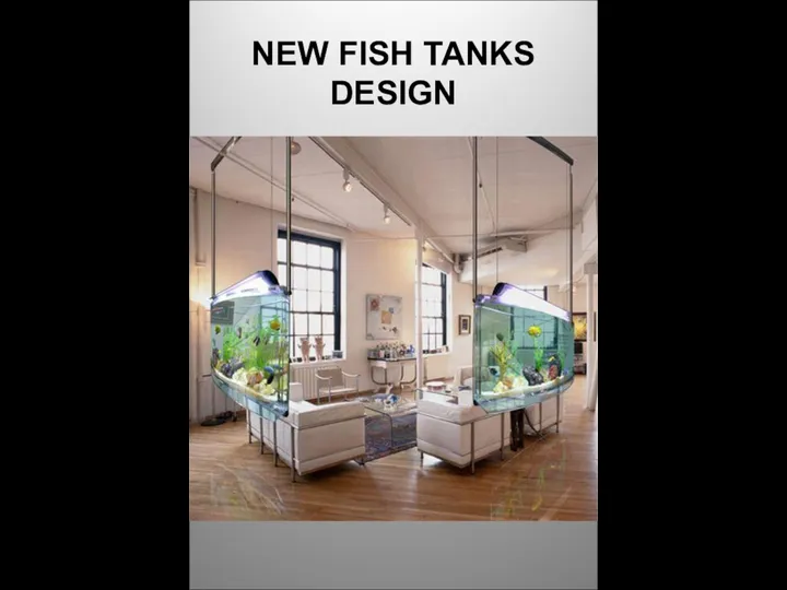 NEW FISH TANKS DESIGN