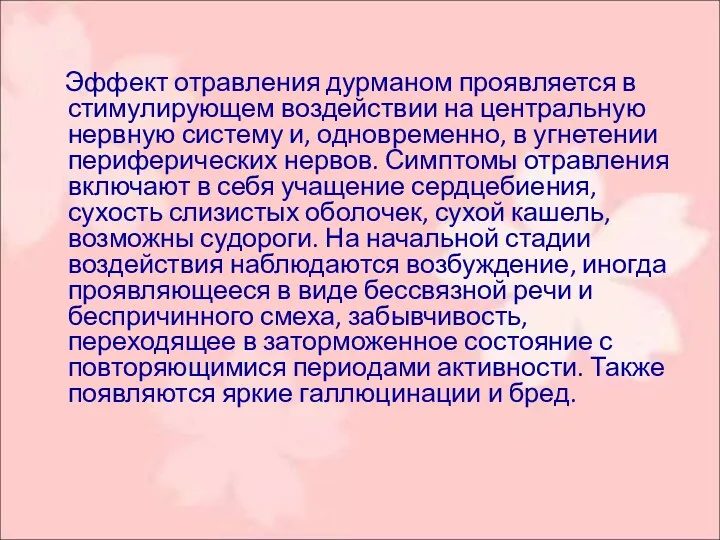 Эффект отравления дурманом проявляется в стимулирующем воздействии на центральную нервную