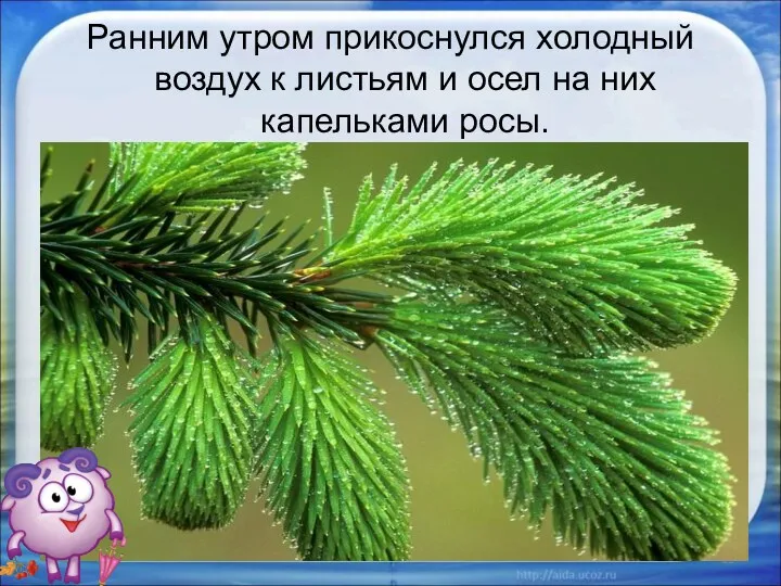 Ранним утром прикоснулся холодный воздух к листьям и осел на них капельками росы. *