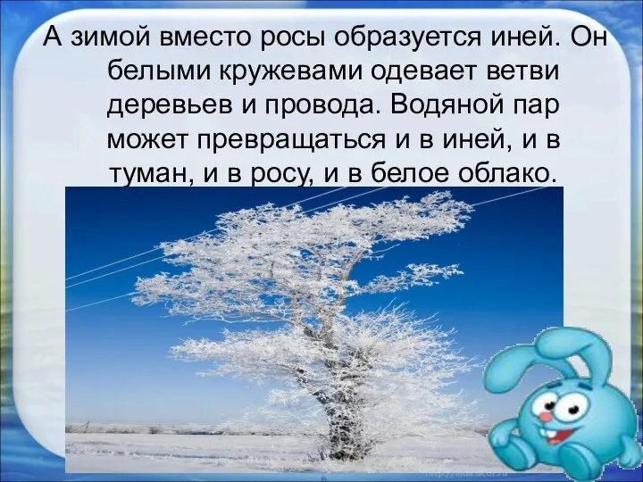 А зимой вместо росы образуется иней. Он белыми кружевами одевает