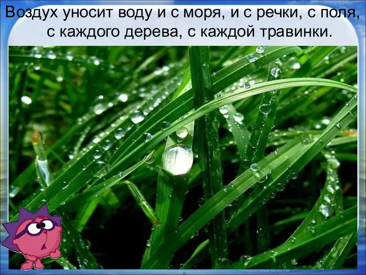 Воздух уносит воду и с моря, и с речки, с