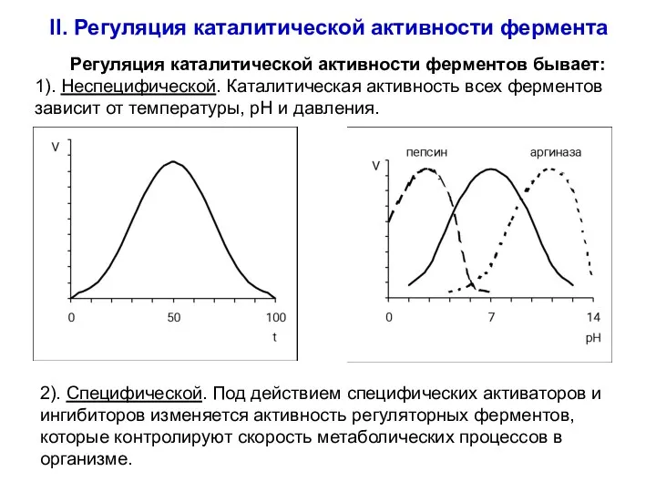 II. Регуляция каталитической активности фермента Регуляция каталитической активности ферментов бывает: