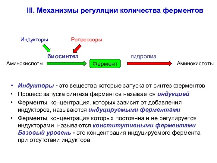 III. Механизмы регуляции количества ферментов Индукторы - это вещества которые