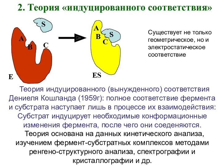 2. Теория «индуцированного соответствия» A B C S E B