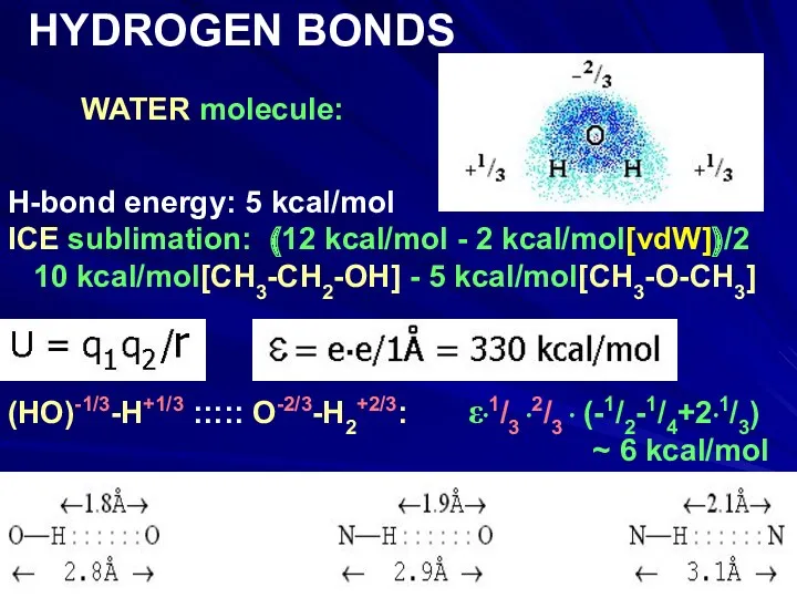 WATER molecule: HYDROGEN BONDS H-bond energy: 5 kcal/mol ICE sublimation: