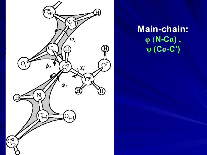 Main-chain: φ (N-Cα) , ψ (Cα-C’)