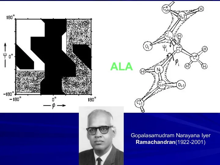 ALA Gopalasamudram Narayana Iyer Ramachandran(1922-2001)