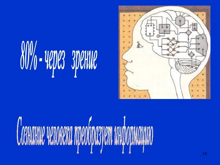 Сознание человека преобразует информацию 80% - через зрение