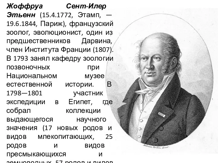 Жоффруа Сент-Илер Этьенн (15.4.1772, Этамп, — 19.6.1844, Париж), французский зоолог,