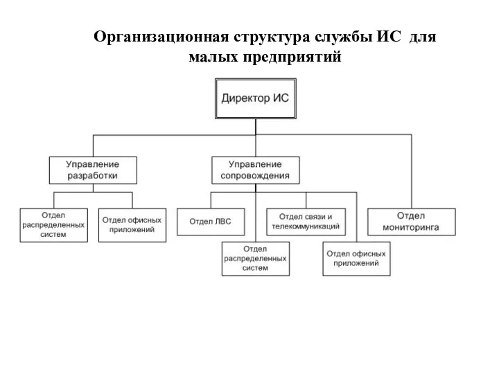 Организационная структура службы ИС для малых предприятий