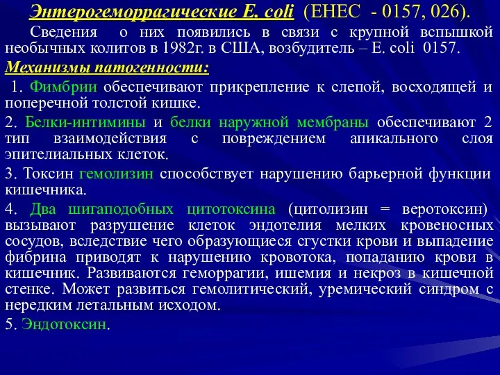 Энтерогеморрагические E. сoli (EHEC - 0157, 026). Сведения о них